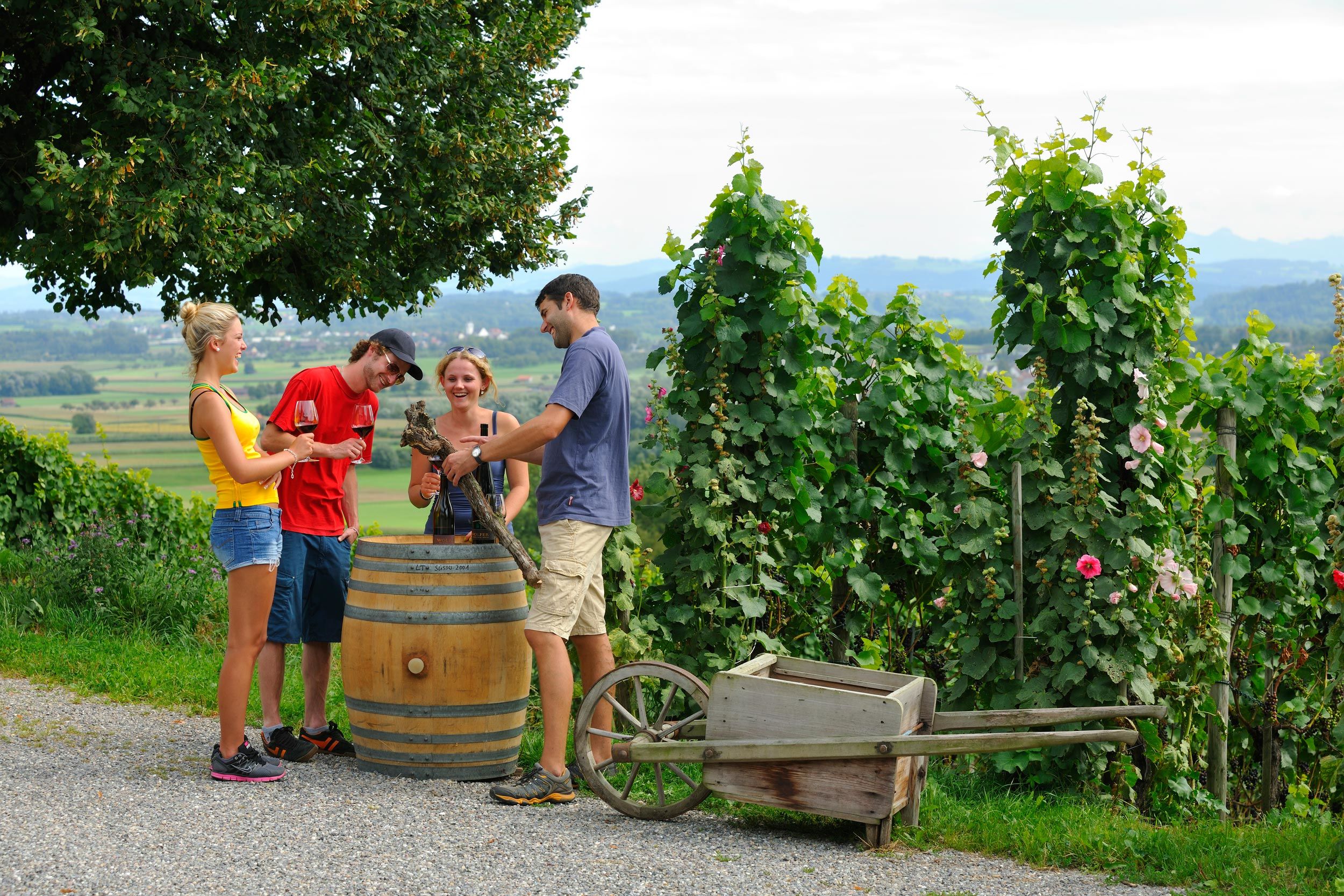 Wolfer winery cheap